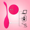 Remoter Control Vibrator - Lusty Age